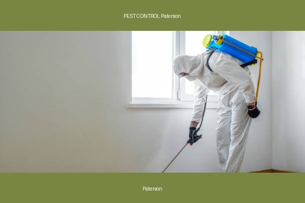 PEST CONTROL Paterson